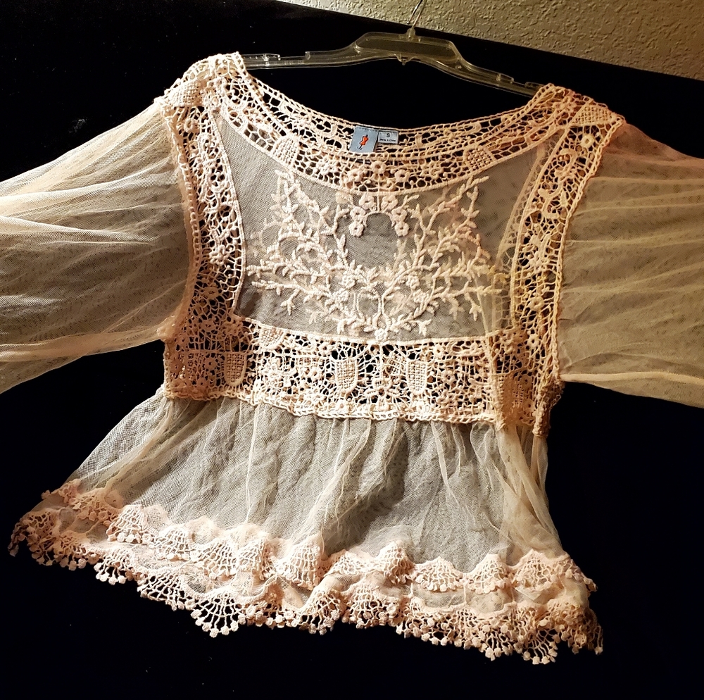 Sheer Pink Blouse